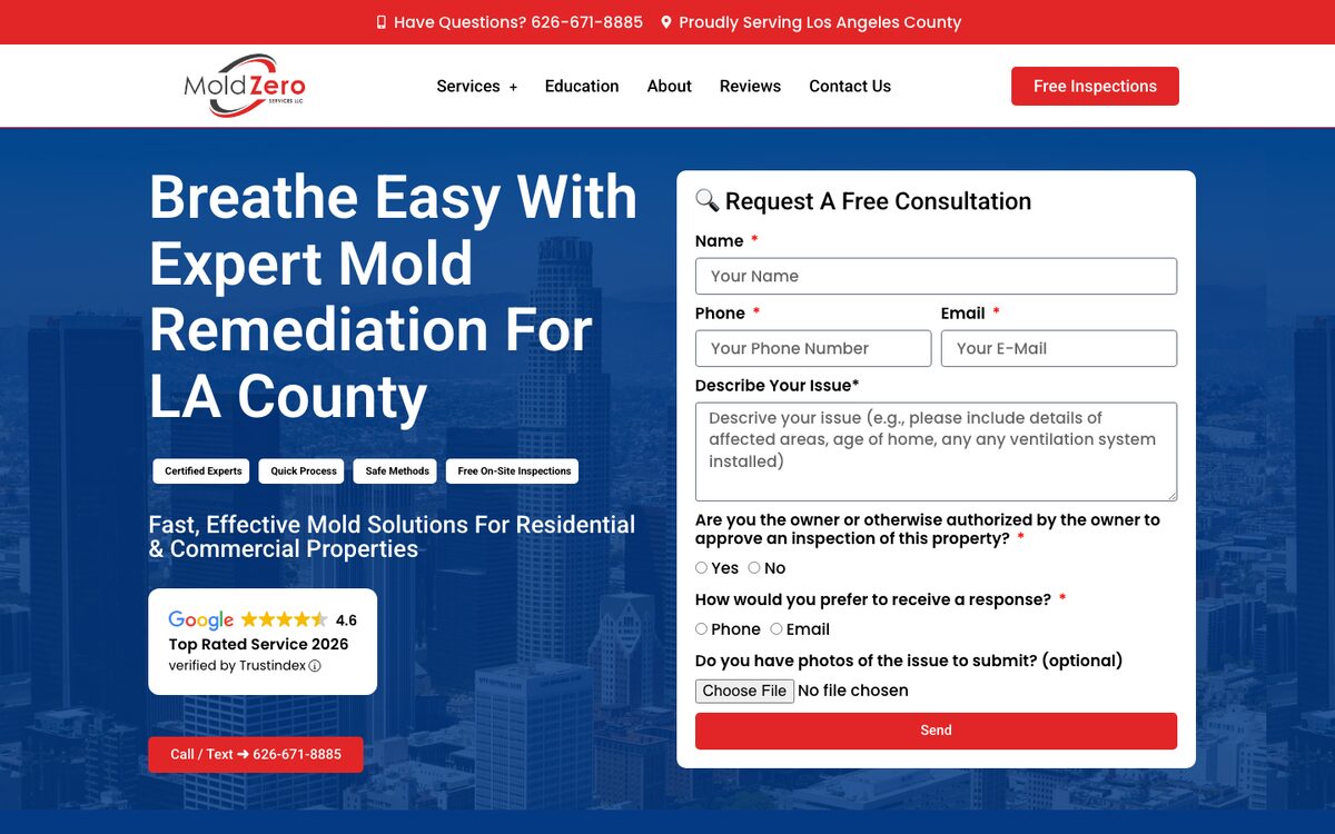Mold Zero website before the rebuild, desktop: 