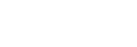 Savvy Systems